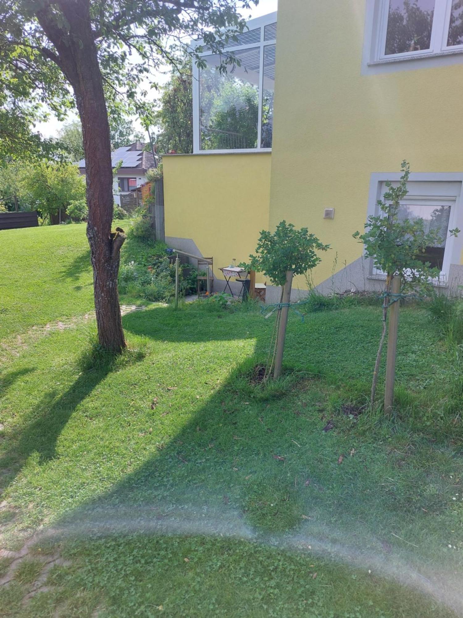 Gelbes Haus Heldritt Lägenhet Bad Rodach Exteriör bild